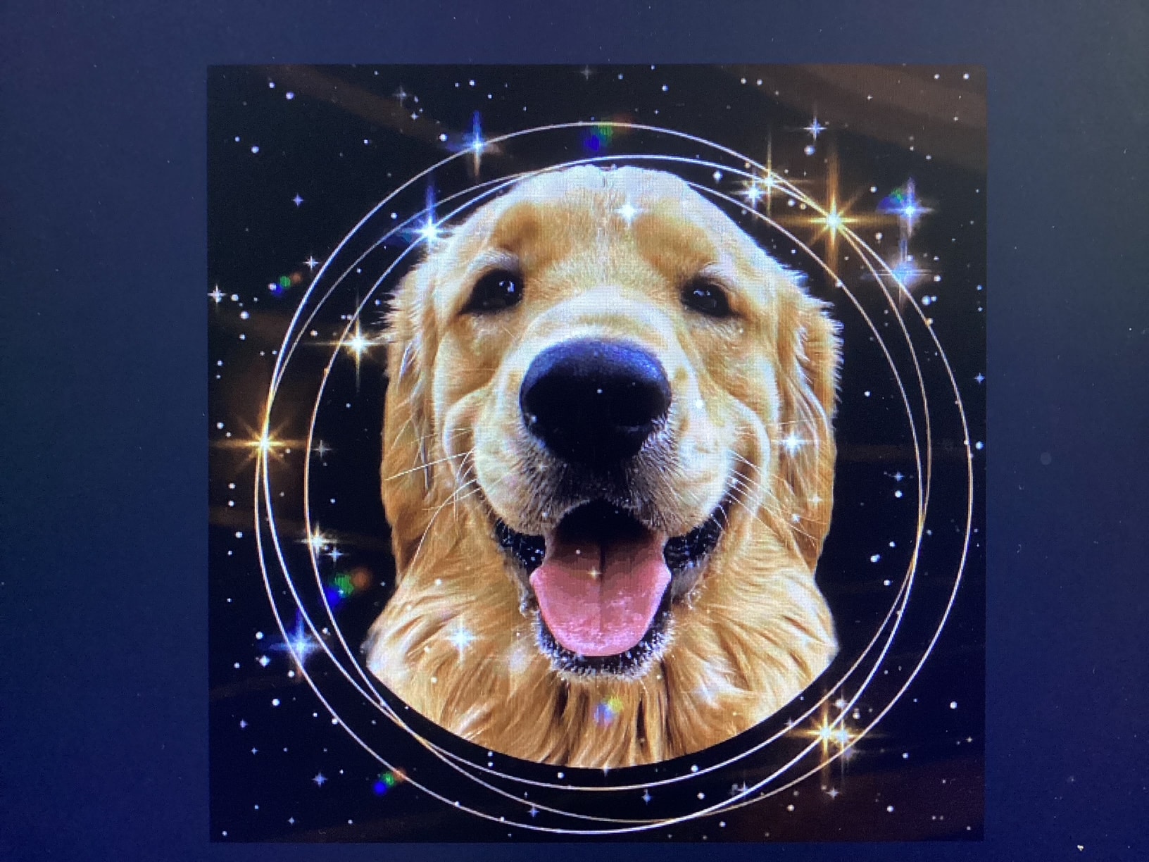 Hallelujah Hound — golden retriever with cosmic sparkles and rings